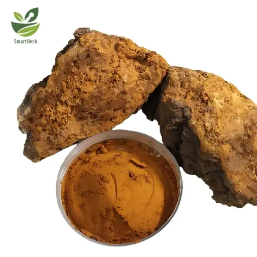 [SH0260701a] Chaga Powder EC Standard